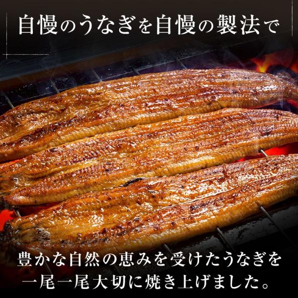 うなぎ 国産 高知県 四万十産 蒲焼き 長焼き 400g 2尾×約200g 超特大サイズ 【ギフト/プレゼント/贈答/海鮮/ウナギ/鰻/土用の丑の日/高級/unagi】