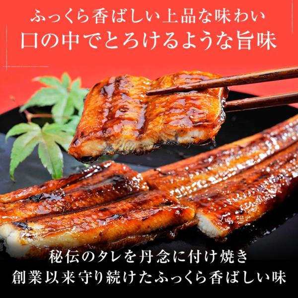 うなぎ 国産 高知県 四万十産 蒲焼き 長焼き 400g 2尾×約200g 超特大サイズ 【ギフト/プレゼント/贈答/海鮮/ウナギ/鰻/土用の丑の日/高級/unagi】