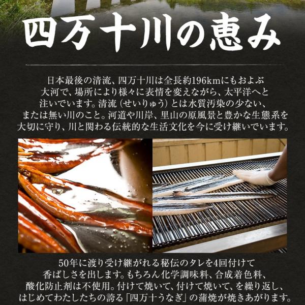 うなぎ 国産 高知県 四万十産 蒲焼き 長焼き 400g 2尾×約200g 超特大サイズ 【ギフト/プレゼント/贈答/海鮮/ウナギ/鰻/土用の丑の日/高級/unagi】