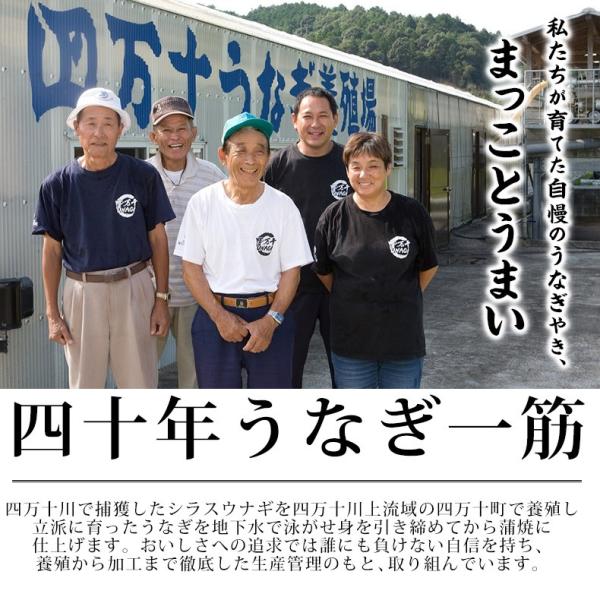 うなぎ 国産 高知県 四万十産 蒲焼き 長焼き 400g 2尾×約200g 超特大サイズ 【ギフト/プレゼント/贈答/海鮮/ウナギ/鰻/土用の丑の日/高級/unagi】