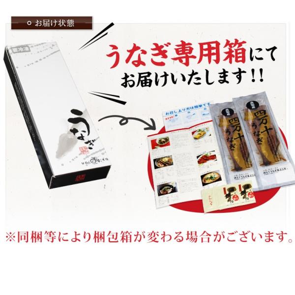 うなぎ 国産 高知県 四万十産 蒲焼き 長焼き 400g 2尾×約200g 超特大サイズ 【ギフト/プレゼント/贈答/海鮮/ウナギ/鰻/土用の丑の日/高級/unagi】