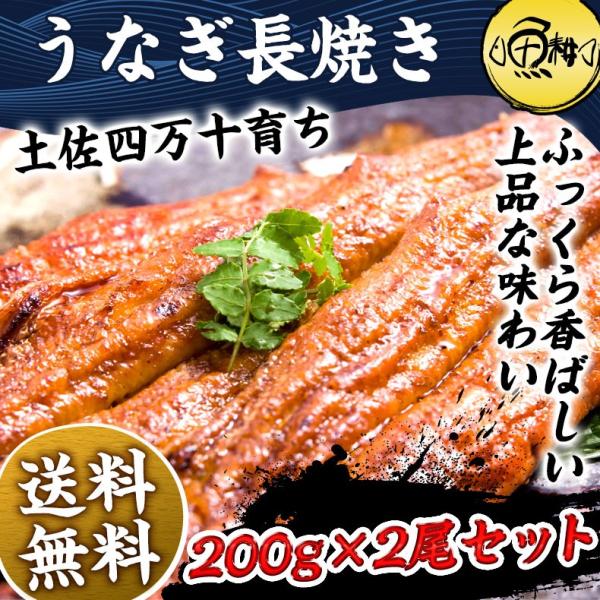 うなぎ 国産 高知県 四万十産 蒲焼き 長焼き 400g 2尾×約200g 超特大サイズ 【ギフト/プレゼント/贈答/海鮮/ウナギ/鰻/土用の丑の日/高級/unagi】