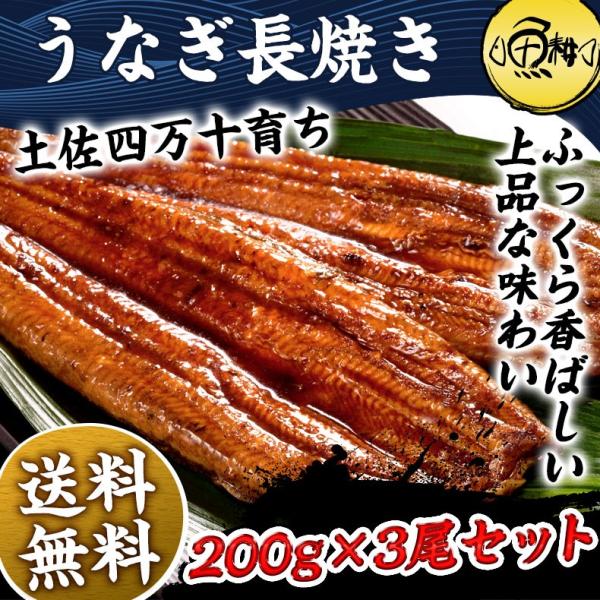うなぎ 高知県 四万十産 超特大サイズ 蒲焼き 長焼き 600g 3尾×約200g 【ギフト/プレゼント/贈答/国産/国内産/ウナギ/鰻/土用の丑の日/unagi】