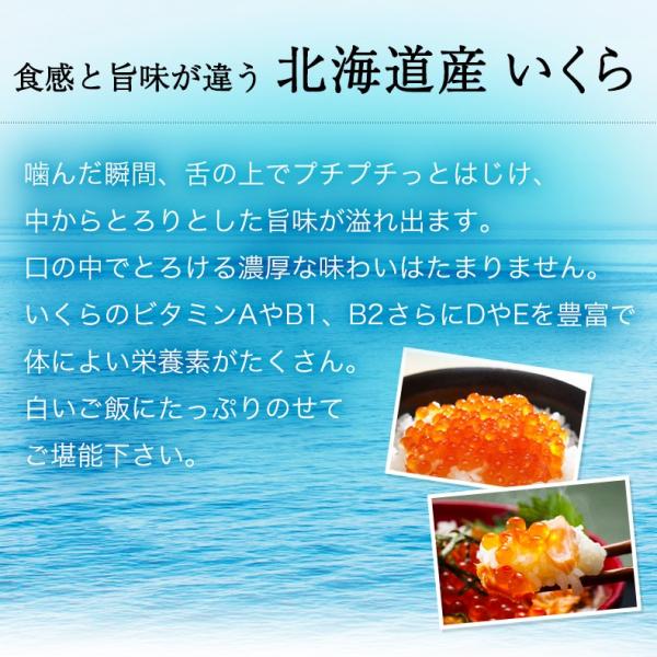 いくら 北海道産 イクラ 醤油漬け 500g 最高級3特グレード 2024年新物 大粒 北海道の新鮮な鮭の卵から作った、トロけるような味わい 【ご飯の友/ご飯のお供/お取り寄せ/グルメ/海鮮/ギフト/贈答用/プレゼント】