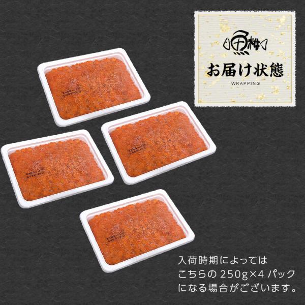 いくら 醤油漬け 最高級3特グレード 2023年新物 北海道産 イクラ 1kg 500g×2 大粒 北海道の新鮮な鮭の卵から作った、トロけるような味わい 【ご飯の友/ご飯のお供/お取り寄せ/グルメ/海鮮/ギフト/贈答用/プレゼント】