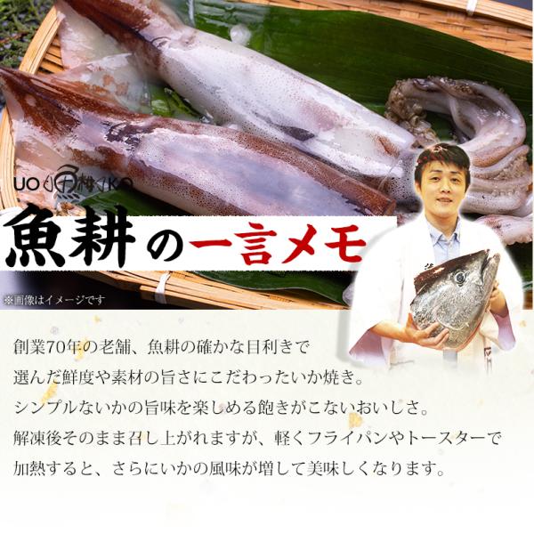 いか焼き 1kg イカ焼き 温めるだけ レンチン 簡単調理 肉厚いかやき 【調理不要/解凍するだけ/加熱済/調理済/焼きイカ/海鮮焼き/イカ/いか/烏賊/冷凍/食品/惣菜/酒の肴/おつまみ/お取り寄せ/グルメ/海鮮/バーベキュー/BBQ】