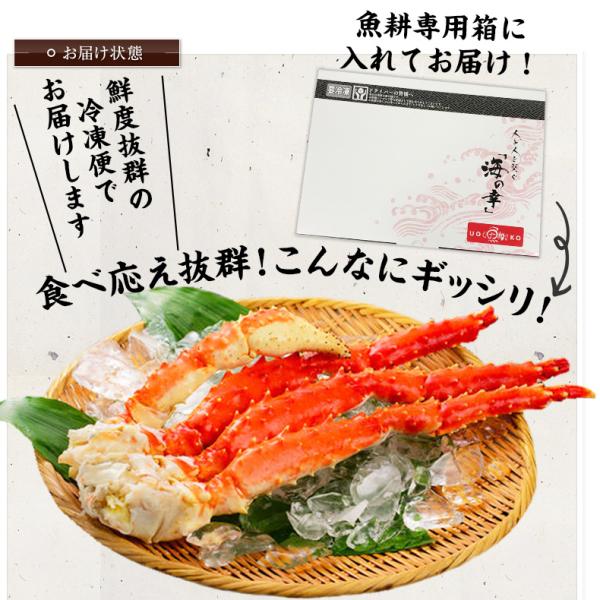 タラバガニ ボイル たらばがに 本タラバガニ 肩 5Lサイズ 1kg 2~3人前 身入りが良く味も濃厚なたらば蟹を厳選 【かに/カニ/蟹/タラバ蟹/ギフト/プレゼント/贈答/海鮮/高級】