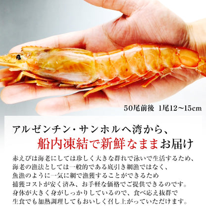 アルゼンチン産 天然 有頭 赤えび 2kg 新鮮船上凍結だから刺身でも焼きでも風味バツグンの生赤エビ 【あかえび/赤海老/BBQ/海鮮/バーベキュー】【父の日/食べ物/ギフト/贈答】