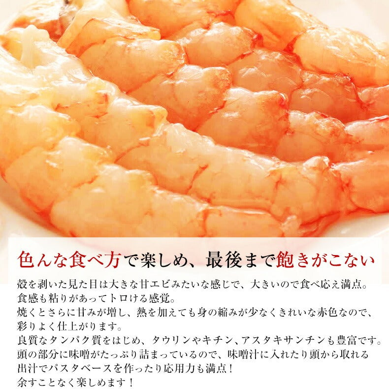 アルゼンチン産 天然 有頭 赤えび 2kg 新鮮船上凍結だから刺身でも焼きでも風味バツグンの生赤エビ 【あかえび/赤海老/BBQ/海鮮/バーベキュー】【父の日/食べ物/ギフト/贈答】