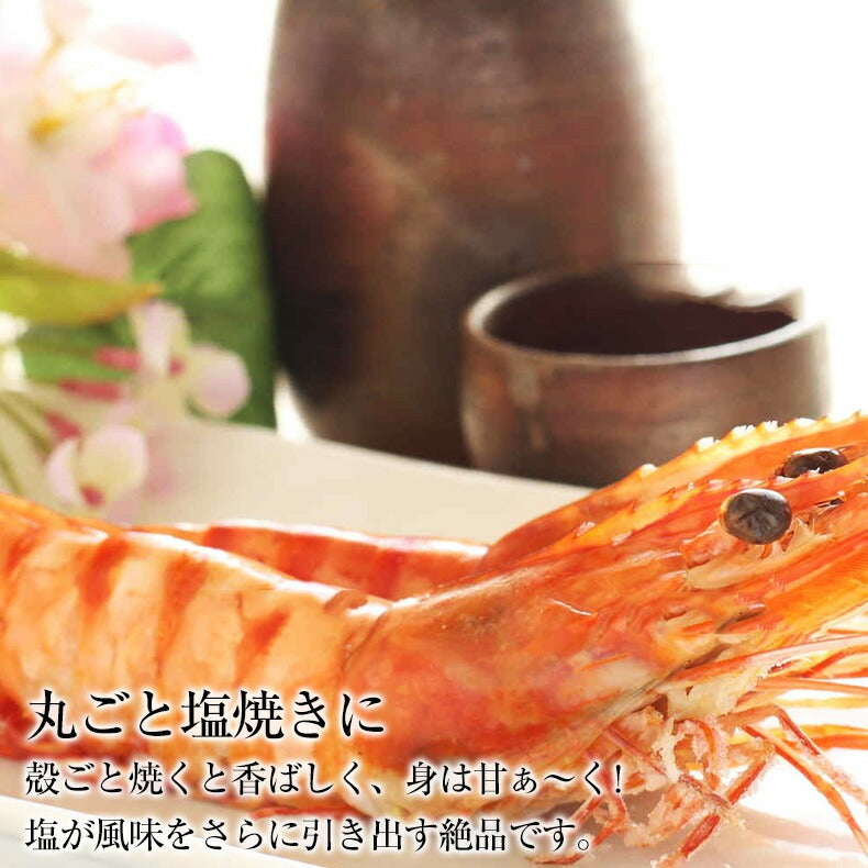 アルゼンチン産 天然 有頭 赤えび 2kg 新鮮船上凍結だから刺身でも焼きでも風味バツグンの生赤エビ 【あかえび/赤海老/BBQ/海鮮/バーベキュー】【父の日/食べ物/ギフト/贈答】