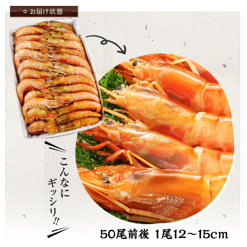 アルゼンチン産 天然 有頭 赤えび 2kg 新鮮船上凍結だから刺身でも焼きでも風味バツグンの生赤エビ 【あかえび/赤海老/BBQ/海鮮/バーベキュー】【父の日/食べ物/ギフト/贈答】