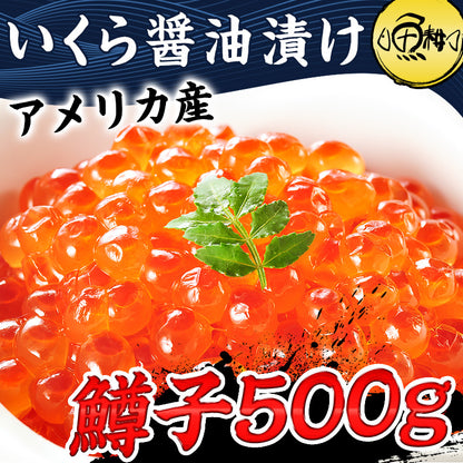 いくら 醤油漬け 500g 鱒子 アメリカ産 【ご飯の友/ご飯のお供/お取り寄せ/グルメ/海鮮/ギフト/贈答用/プレゼント】