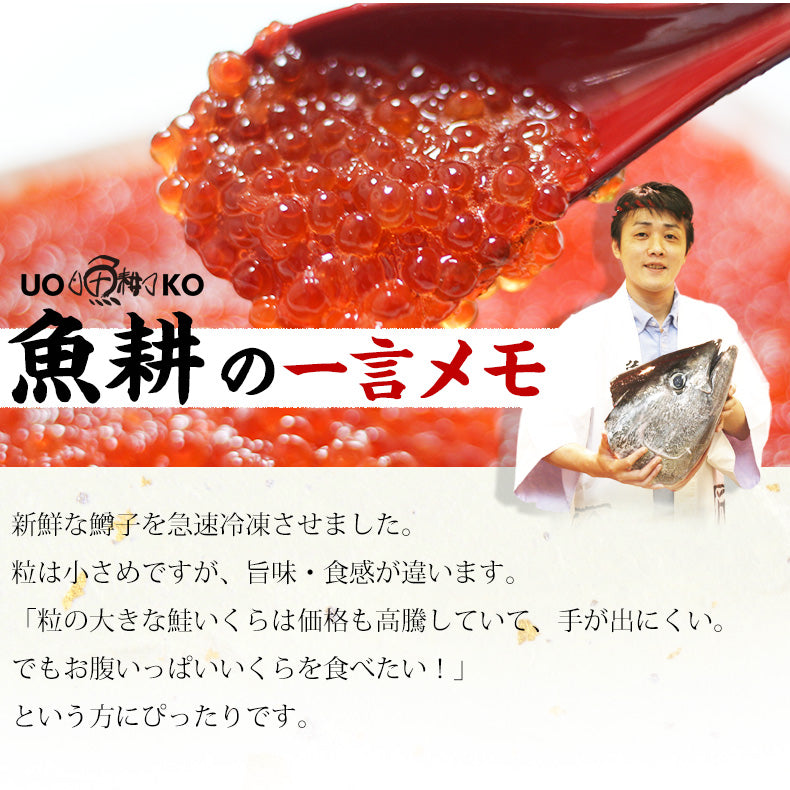 いくら 醤油漬け 500g 鱒子 アメリカ産 【ご飯の友/ご飯のお供/お取り寄せ/グルメ/海鮮/ギフト/贈答用/プレゼント】