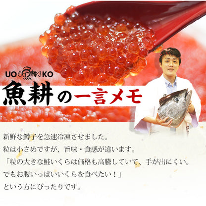 いくら 醤油漬け 500g 鱒子 アメリカ産 【ご飯の友/ご飯のお供/お取り寄せ/グルメ/海鮮/ギフト/贈答用/プレゼント】