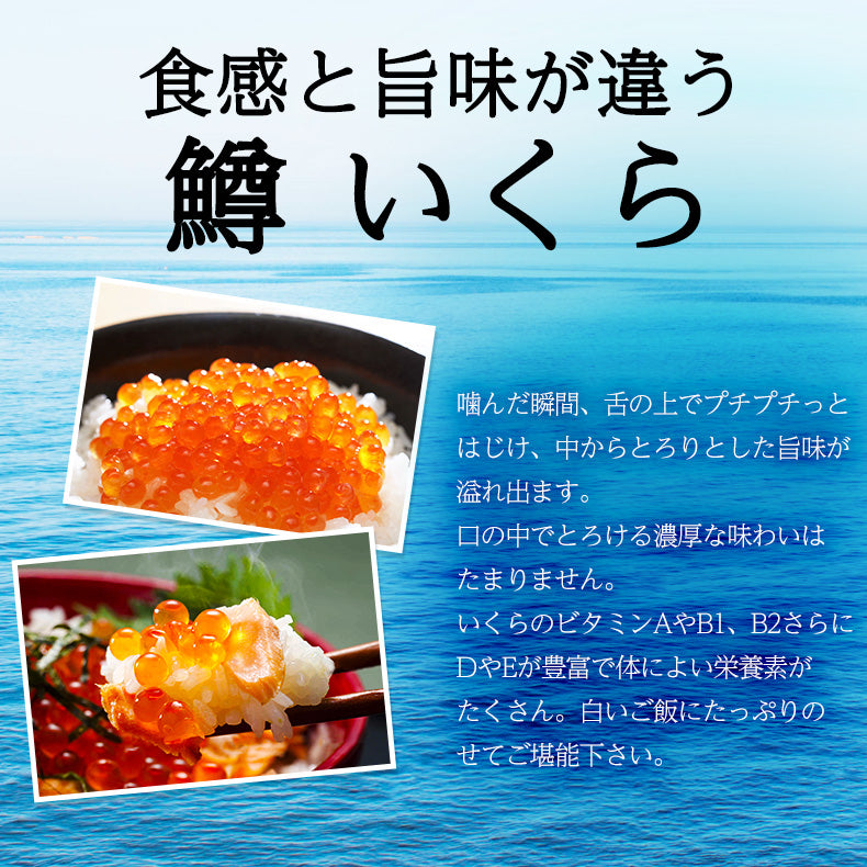 いくら 醤油漬け 500g 鱒子 アメリカ産 【ご飯の友/ご飯のお供/お取り寄せ/グルメ/海鮮/ギフト/贈答用/プレゼント】