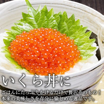 いくら 醤油漬け 500g 鱒子 アメリカ産 【ご飯の友/ご飯のお供/お取り寄せ/グルメ/海鮮/ギフト/贈答用/プレゼント】