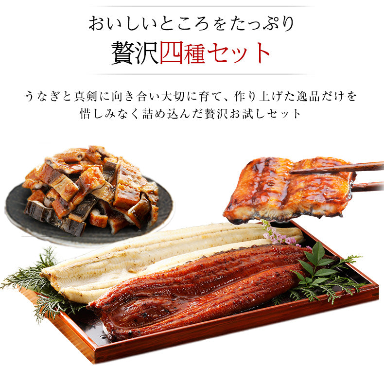 ウナギ 国産 父の日 食べ物 ギフト 四万十うなぎ 詰合せ 4種類セット 日本最後の清流、四万十川の恵みで育った自慢のウナギ 【うなぎ/鰻/詰め合わせ/国内産/土用の丑/蒲焼き/素焼き/白焼き/贈答/プレゼント】