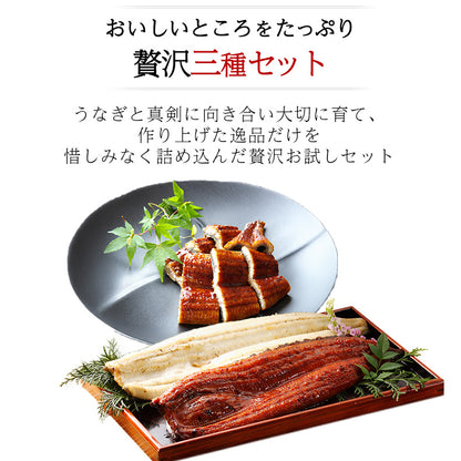 ウナギ 国産 四万十うなぎ 詰合せ 3種類セット 日本最後の清流、四万十川の恵みで育った自慢のウナギ 【うなぎ/鰻/詰め合わせ/国内産/土用の丑/蒲焼き/素焼き/白焼き/贈答/ギフト/プレゼント】