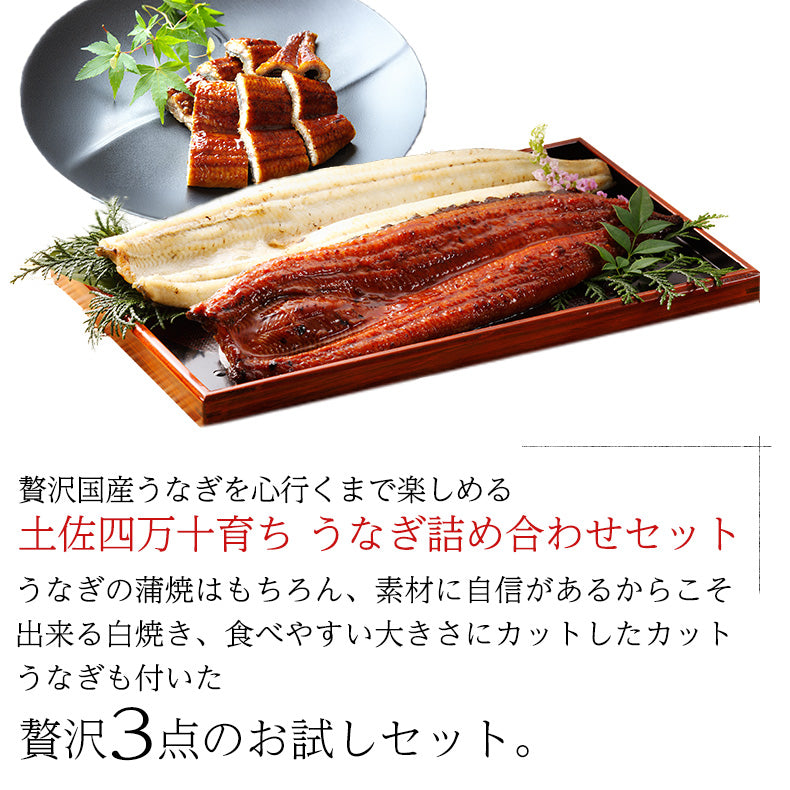 ウナギ 国産 四万十うなぎ 詰合せ 3種類セット 日本最後の清流、四万十川の恵みで育った自慢のウナギ 【うなぎ/鰻/詰め合わせ/国内産/土用の丑/蒲焼き/素焼き/白焼き/贈答/ギフト/プレゼント】
