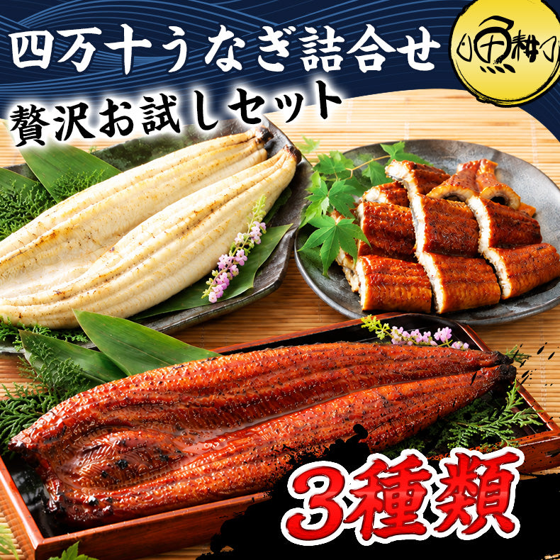 ウナギ 国産 四万十うなぎ 詰合せ 3種類セット 日本最後の清流、四万十川の恵みで育った自慢のウナギ 【うなぎ/鰻/詰め合わせ/国内産/土用の丑/蒲焼き/素焼き/白焼き/贈答/ギフト/プレゼント】