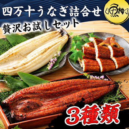 ウナギ 国産 四万十うなぎ 詰合せ 3種類セット 日本最後の清流、四万十川の恵みで育った自慢のウナギ 【うなぎ/鰻/詰め合わせ/国内産/土用の丑/蒲焼き/素焼き/白焼き/贈答/ギフト/プレゼント】