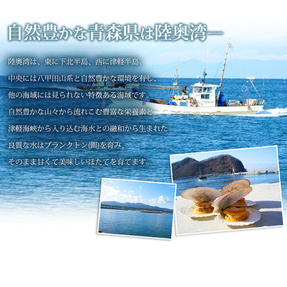 ほたて 青森県産 正規品 釜揚げほたて お取り寄せ ホタテ 600g 解凍後すぐ食べられる ぷりっとやわらか半生仕上げ 青森県むつ湾育ちの旨み濃厚ほたて 【帆立/貝柱 】【父の日/ギフト/2026/贈答】