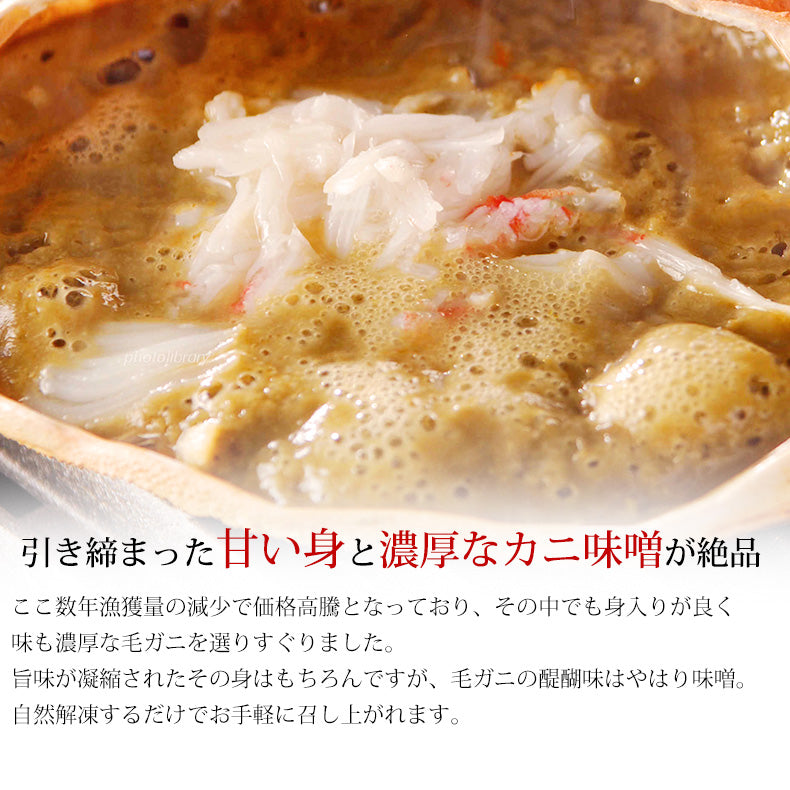 北海道産一級品 毛ガニ ボイル済み 最高級3特グレード堅蟹 360g前後×2杯 約2人前 【かに/カニ/蟹/毛蟹/毛がに/浜茹で/かにみそ/蟹味噌/冷凍】【母の日/ギフト/食べ物/プレゼント/贈答】