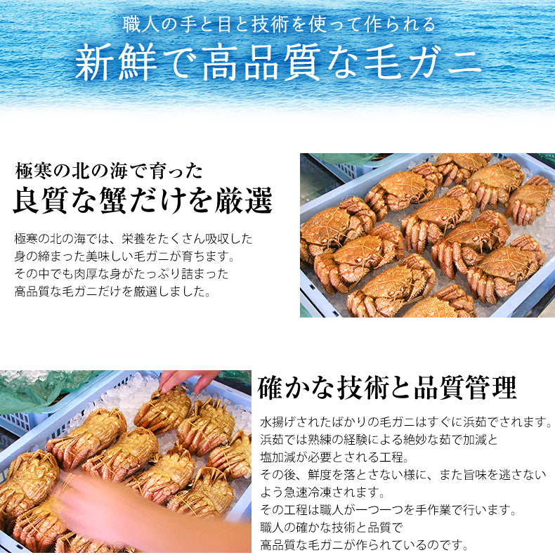北海道産一級品 毛ガニ ボイル済み 最高級3特グレード堅蟹 360g前後×2杯 約2人前 【かに/カニ/蟹/毛蟹/毛がに/浜茹で/かにみそ/蟹味噌/冷凍】【母の日/ギフト/食べ物/プレゼント/贈答】