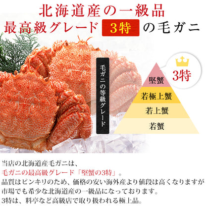 北海道産一級品 毛ガニ ボイル済み 最高級3特グレード堅蟹 360g前後×2杯 約2人前 【かに/カニ/蟹/毛蟹/毛がに/浜茹で/かにみそ/蟹味噌/冷凍】【母の日/ギフト/食べ物/プレゼント/贈答】