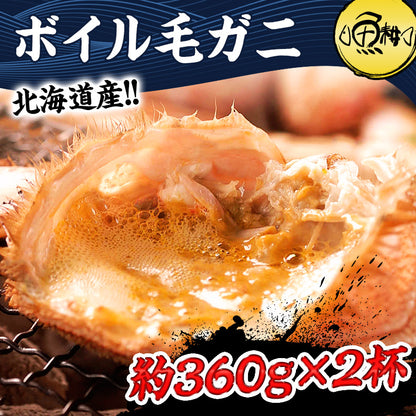 北海道産一級品 毛ガニ ボイル済み 最高級3特グレード堅蟹 360g前後×2杯 約2人前 【かに/カニ/蟹/毛蟹/毛がに/浜茹で/かにみそ/蟹味噌/冷凍】【母の日/ギフト/食べ物/プレゼント/贈答】