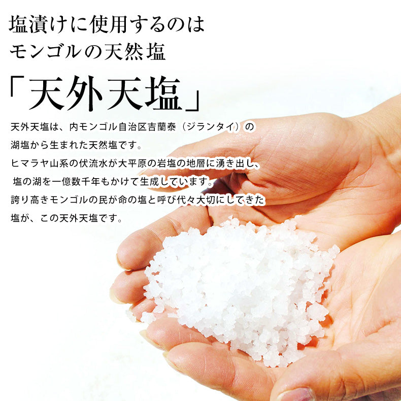 無着色 辛子明太子 一本羽 1kg 選べるサイズ M 2L 化粧箱入  プチッと弾ける食感がたまらない、贅沢な一本物 【明太子/めんたいこ/からし明太子/たらこ/父の日/食べ物/ギフト/プレゼント/贈答/海鮮/高級】
