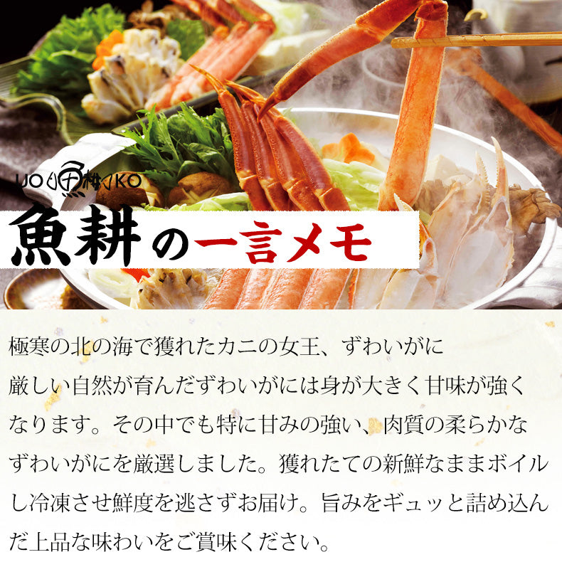 海鮮 2Lサイズ ズワイガニ 肩脚 ボイル 3肩 約800g 極寒の北の海で獲れたカニの女王ずわいがに 【かに/カニ/蟹/ズワイ蟹/ボイルズワイガニ/ギフト/プレゼント/贈答/高級】