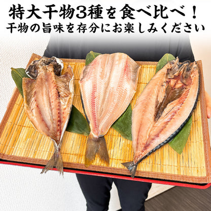 特大 笹の葉 干物セット 3種 詰め合わせ 合計1kg以上 無添加 【干物/ひもの/冷凍/ほっけ/ホッケ/さば/サバ/鯖/あじ/アジ/鰺/ギフト/プレゼント/おつまみ/贈り物/贈答/海鮮】