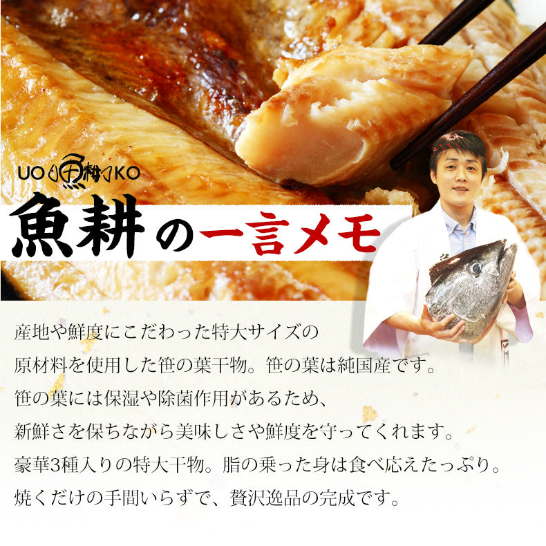 特大 笹の葉 干物セット 3種 詰め合わせ 合計1kg以上 無添加 【干物/ひもの/冷凍/ほっけ/ホッケ/さば/サバ/鯖/あじ/アジ/鰺/ギフト/プレゼント/おつまみ/贈り物/贈答/海鮮】