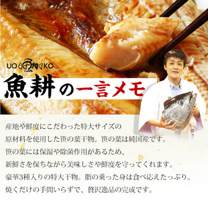 特大 笹の葉 干物セット 3種 詰め合わせ 合計1kg以上 無添加 【干物/ひもの/冷凍/ほっけ/ホッケ/さば/サバ/鯖/あじ/アジ/鰺/ギフト/プレゼント/おつまみ/贈り物/贈答/海鮮】