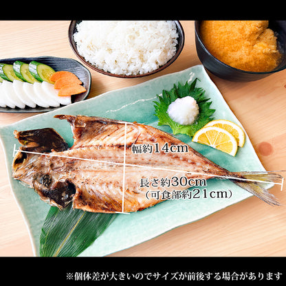 特大 笹の葉 干物セット 3種 詰め合わせ 合計1kg以上 無添加 【干物/ひもの/冷凍/ほっけ/ホッケ/さば/サバ/鯖/あじ/アジ/鰺/ギフト/プレゼント/おつまみ/贈り物/贈答/海鮮】