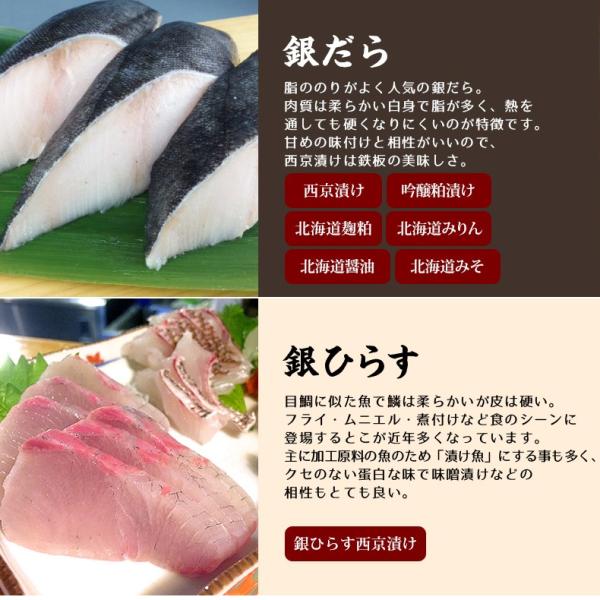 漬け魚 10切セット  ギフト 西京漬け 魚 粕漬け 塩麹 ねぎ味噌漬け 【北海道/切り身/鮭/さけ/サケ/銀だら/カレイ/ひらす/めぬき】【詰め合わせ/プレゼント/贈答】