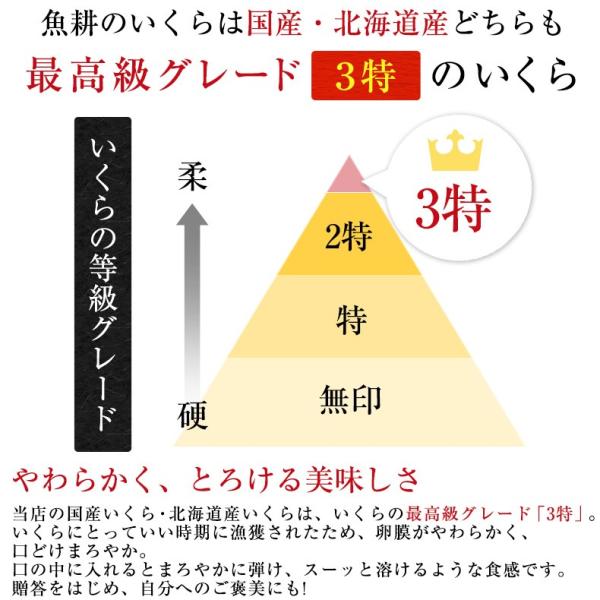 いくら 最高級3特グレード 2024年新物 食べ比べセット イクラ醤油漬け 大粒 2kg 1kg×2 国産と北海道産の秋鮭から丹念にほぐした宝石のようなイクラ 【ギフト/プレゼント/贈答用】