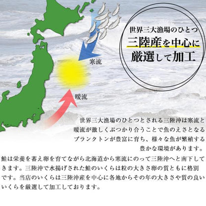 いくら 贈答用 最高級3特グレード 500g 国産 2024年新物 いくら醤油漬け 250g×2 国産の秋鮭から丹念にほぐした宝石のようなイクラ 【イクラ醤油漬け/大粒/鮭卵/ギフト/プレゼント】