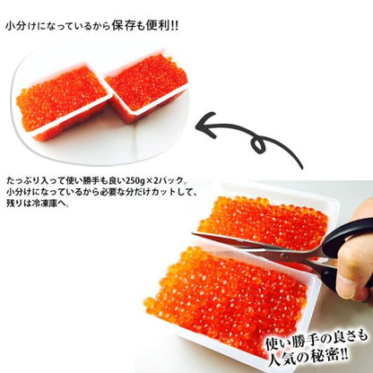 いくら 贈答用 最高級3特グレード 500g 国産 2024年新物 いくら醤油漬け 250g×2 国産の秋鮭から丹念にほぐした宝石のようなイクラ 【イクラ醤油漬け/大粒/鮭卵/ギフト/プレゼント】