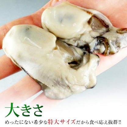 広島県産カキ 1kg 冷凍 35-40粒前後 Lサイズ  海の幸が豊富な瀬戸内海で育てられた良質な広島牡蠣 【広島かき/牡蠣/広島産カキ/ギフト/贈答】