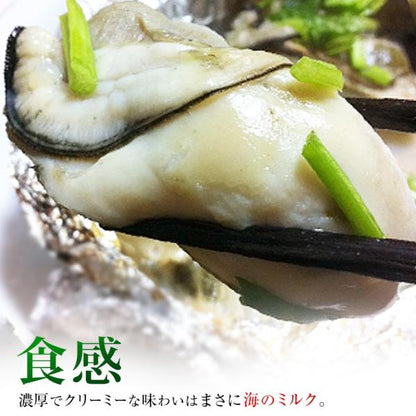 広島県産カキ 1kg 冷凍 35-40粒前後 Lサイズ  海の幸が豊富な瀬戸内海で育てられた良質な広島牡蠣 【広島かき/牡蠣/広島産カキ/ギフト/贈答】