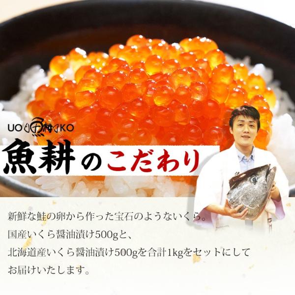 いくら 醤油漬け 国産 北海道産 食べ比べセット 最高級3特グレード 2024年新物 1kg 500g×2 秋鮭から丹念にほぐした宝石のようなイクラ 【ギフト/プレゼント/贈答/イクラ/お取り寄せ/グルメ/海鮮】