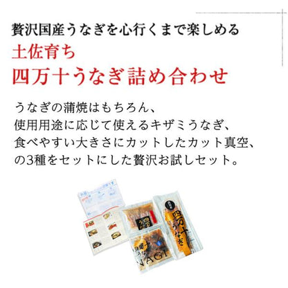 うなぎ 四万十うなぎ 詰め合わせ セット 日本最後の清流、四万十川の恵みで育った自慢の鰻 【蒲焼き/国産/国内産/ギフト/プレゼント/贈答】