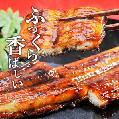 うなぎ 四万十うなぎ 詰め合わせ セット 日本最後の清流、四万十川の恵みで育った自慢の鰻 【蒲焼き/国産/国内産/ギフト/プレゼント/贈答】