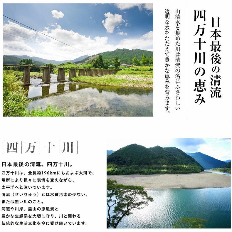 ウナギ 国産 父の日 食べ物 ギフト 四万十うなぎ 詰合せ 4種類セット 日本最後の清流、四万十川の恵みで育った自慢のウナギ 【うなぎ/鰻/詰め合わせ/国内産/土用の丑/蒲焼き/素焼き/白焼き/贈答/プレゼント】