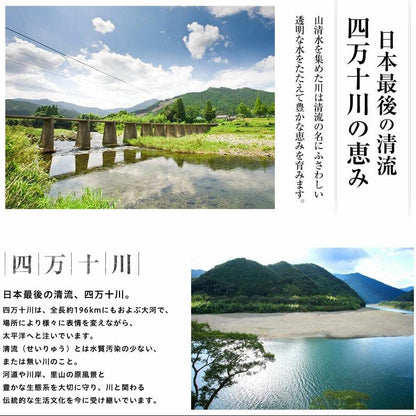 ウナギ 国産 父の日 食べ物 ギフト 四万十うなぎ 詰合せ 4種類セット 日本最後の清流、四万十川の恵みで育った自慢のウナギ 【うなぎ/鰻/詰め合わせ/国内産/土用の丑/蒲焼き/素焼き/白焼き/贈答/プレゼント】