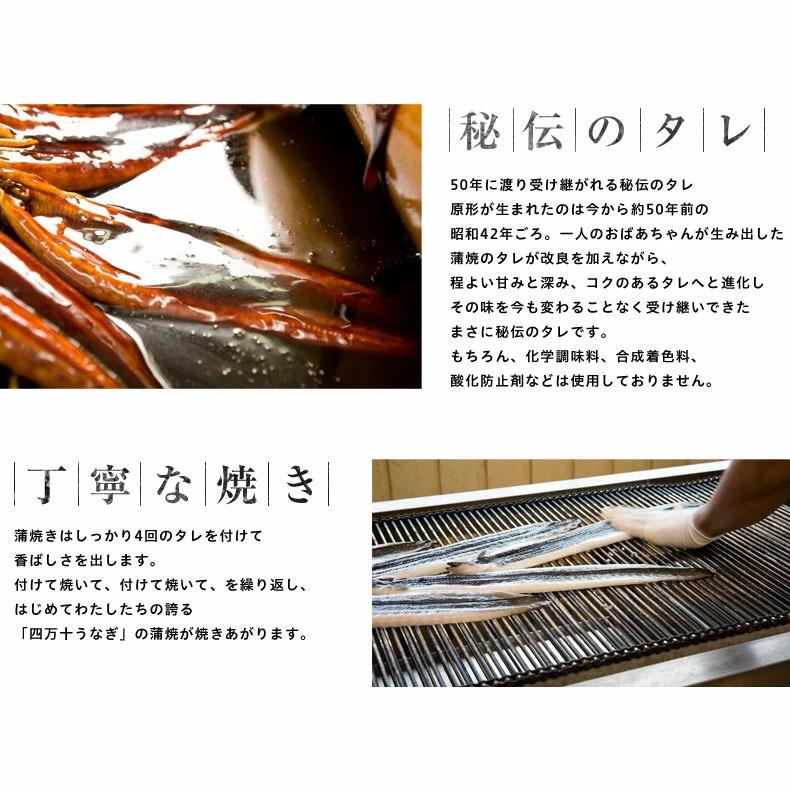 ウナギ 国産 父の日 食べ物 ギフト 四万十うなぎ 詰合せ 4種類セット 日本最後の清流、四万十川の恵みで育った自慢のウナギ 【うなぎ/鰻/詰め合わせ/国内産/土用の丑/蒲焼き/素焼き/白焼き/贈答/プレゼント】