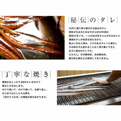 ウナギ 国産 父の日 食べ物 ギフト 四万十うなぎ 詰合せ 4種類セット 日本最後の清流、四万十川の恵みで育った自慢のウナギ 【うなぎ/鰻/詰め合わせ/国内産/土用の丑/蒲焼き/素焼き/白焼き/贈答/プレゼント】