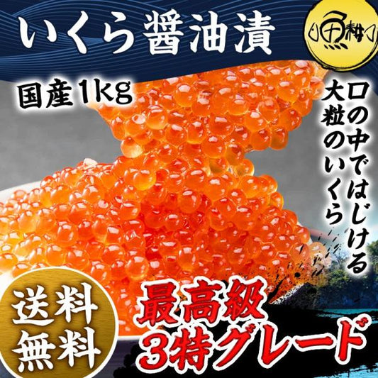 国産 いくら 醤油漬け 1kg 最高級3特グレード 2024年新物 250g×4 国産の秋鮭から丹念にほぐした宝石のようなイクラ 【ギフト/プレゼント/贈答/高級/イクラ/大粒/鮭卵/小分け/海鮮】